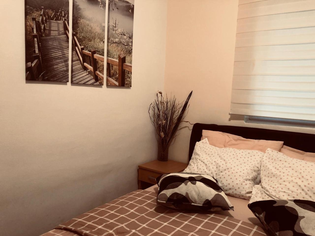 Apartments Aleksandar Petrovac Εξωτερικό φωτογραφία